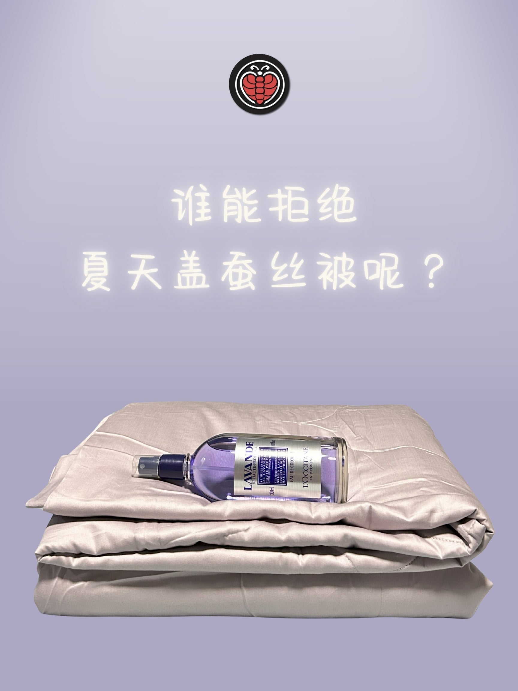 Washable Silk Blanket – 200×230cm